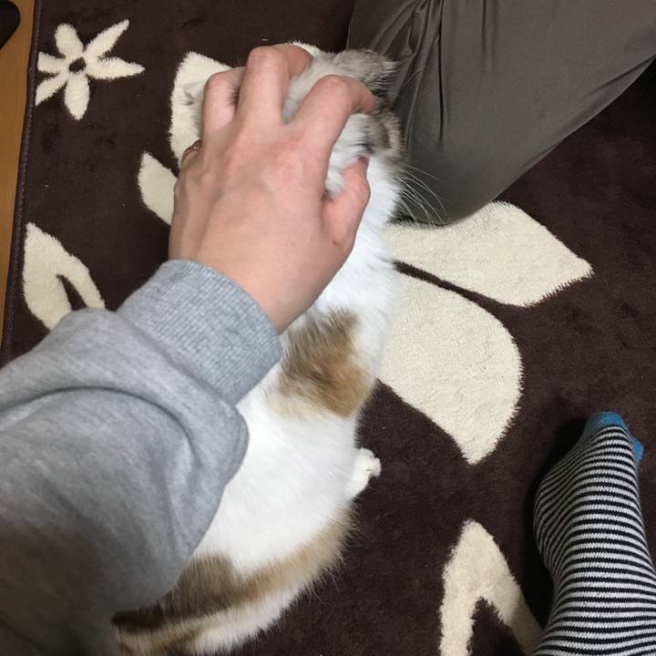 9b496e84 71de 42ab 8a1f a0ee0df6a3a9