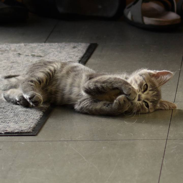 9b4a2c96 c402 4760 a8a3 4d279ea4fbaf