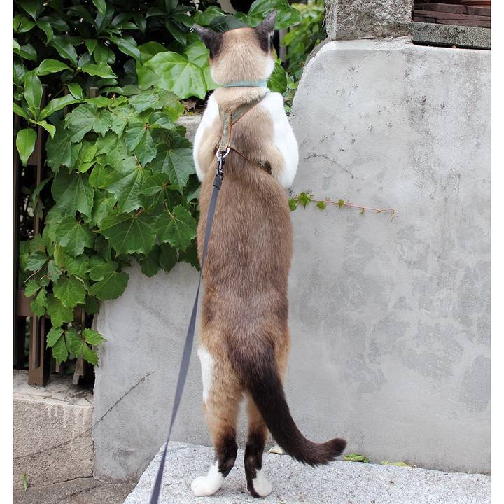 9b4a6e75 67c2 480d 94a0 fade34593e72