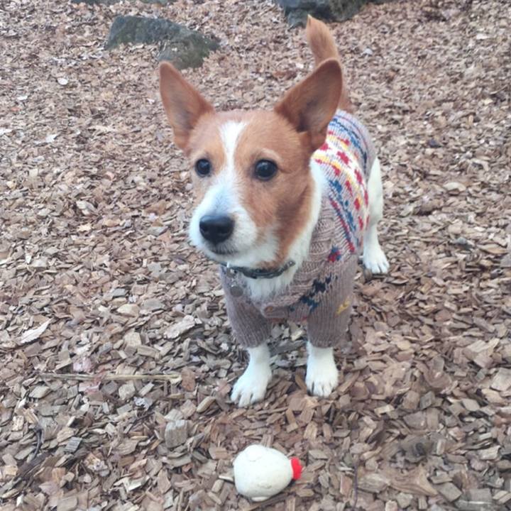 9b4a7c2a 78ac 41c1 9647 5e1bb314a08c