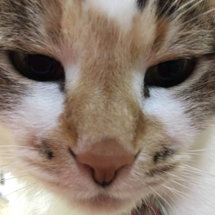 9b4ae94a 52ee 4290 841a 0ed5e06a5555