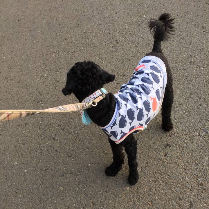 9b4bfe0a ae9f 4167 b15a efcfd758c366