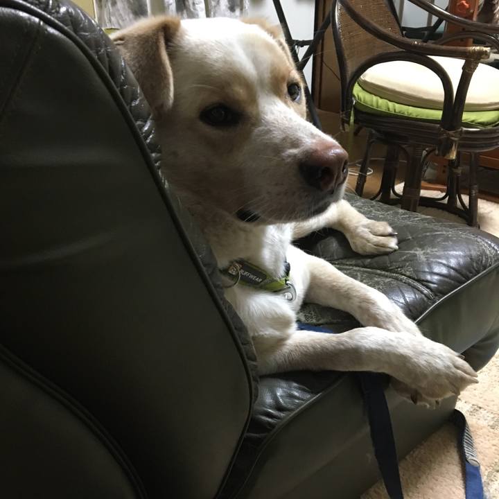 9b4d225d 5b5e 4976 bad4 d99be74218b2