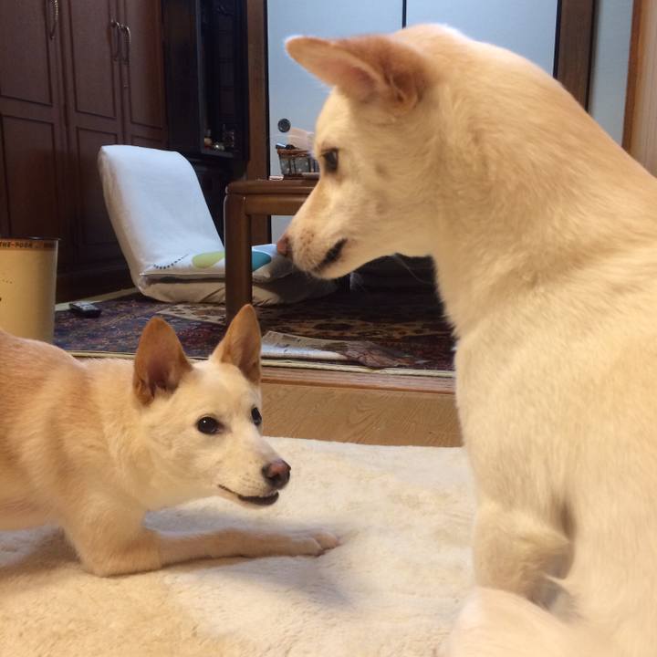 9b4d2c50 5814 4154 a864 44417607240a