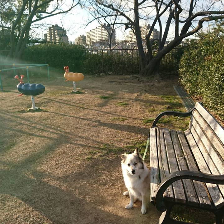 9b4df86c 57f2 43ea 87dd 2a77264751e8