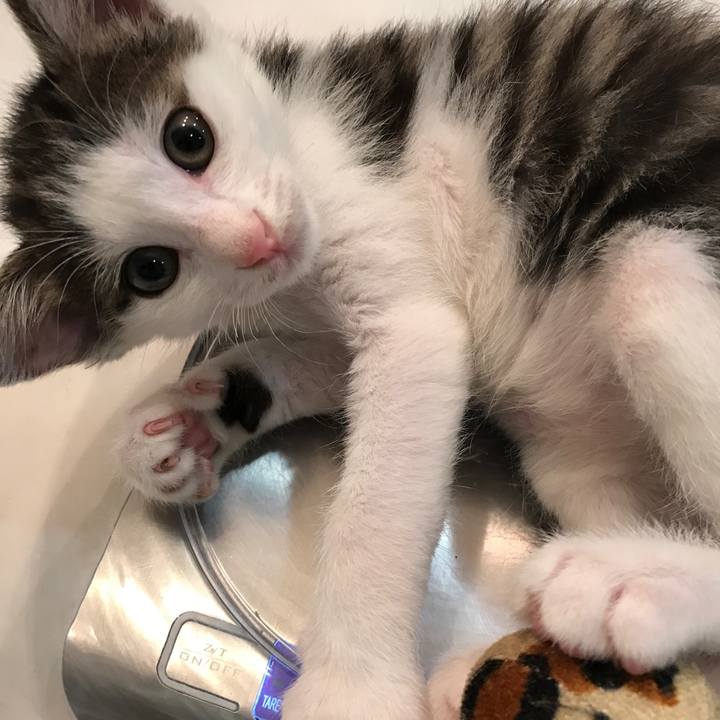 9b4e200c 27ca 4905 8844 d5ec58aebf8d