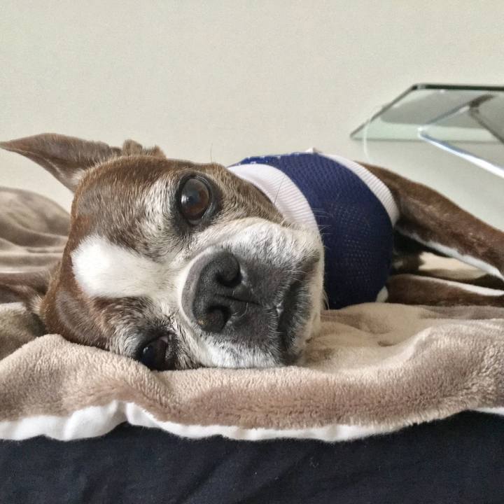 9b4e5384 8399 4706 bce9 c905d4a11659