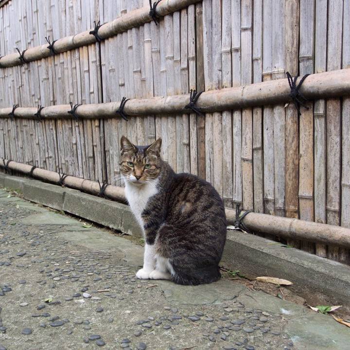 9b4f209a ad03 48eb 99de 0e8af513bb40