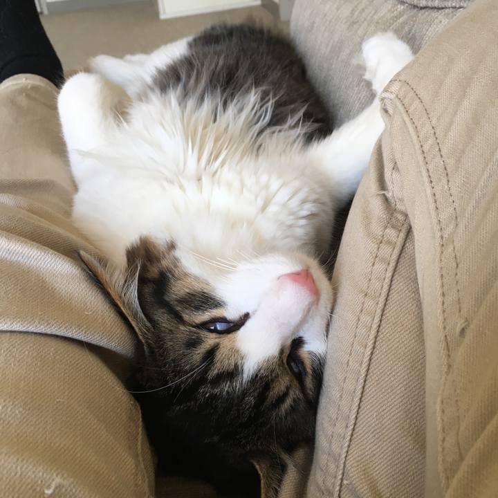 9b4f69cb dfc7 476f 85e3 b2bc0a0b89b7