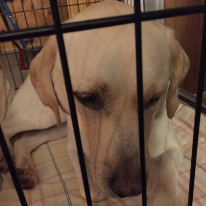 9b509897 60a3 4091 a500 3e4ff7719fb9