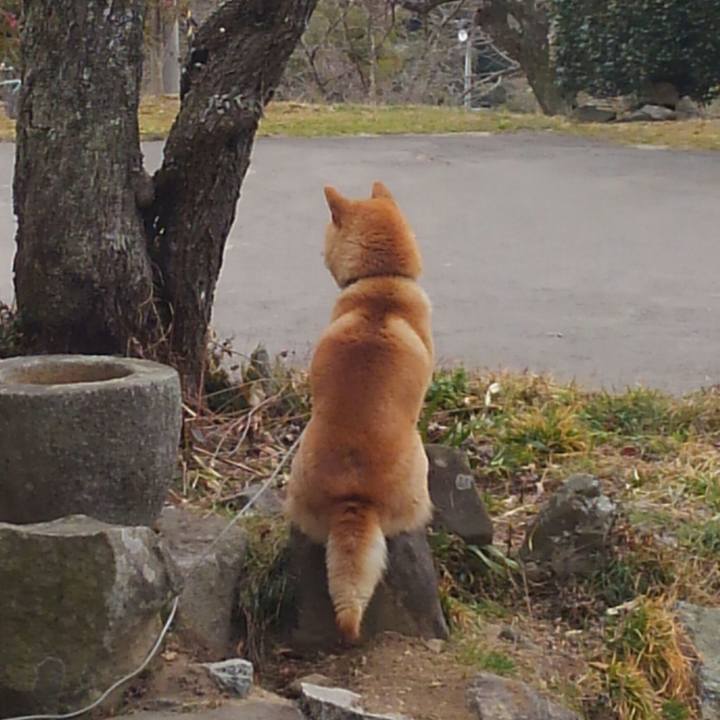 9b50bc5d d0fe 4798 9f2a 16bd0e4a058e