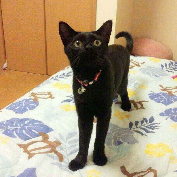 9b50d349 6911 4e46 901c cac07f758035