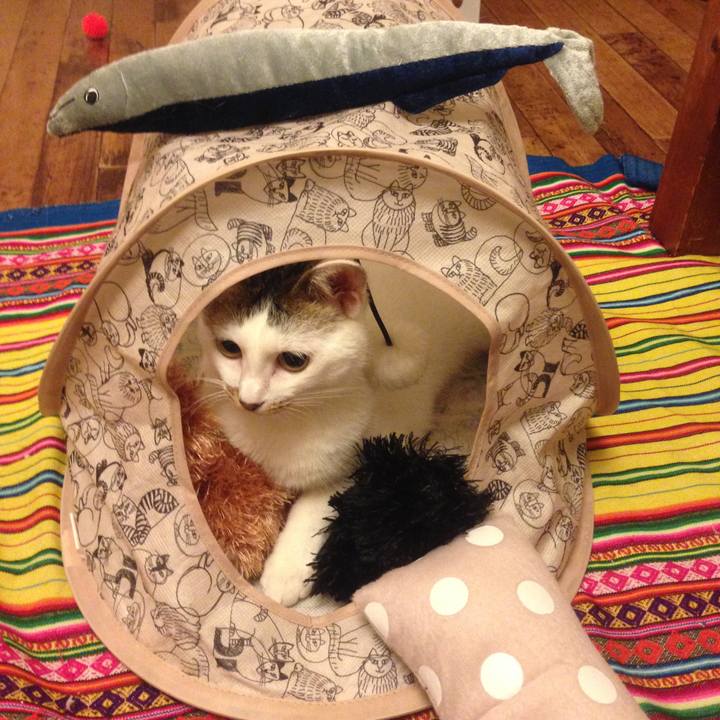 9b512e23 ef87 4400 b5b6 29f375fef445