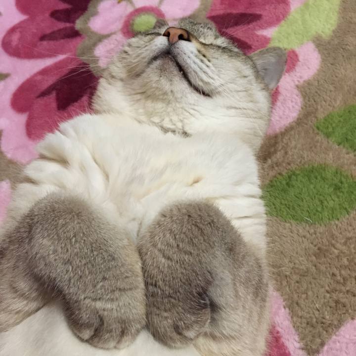 9b5133de 13e5 44ab 99b4 7f703d9fe65f