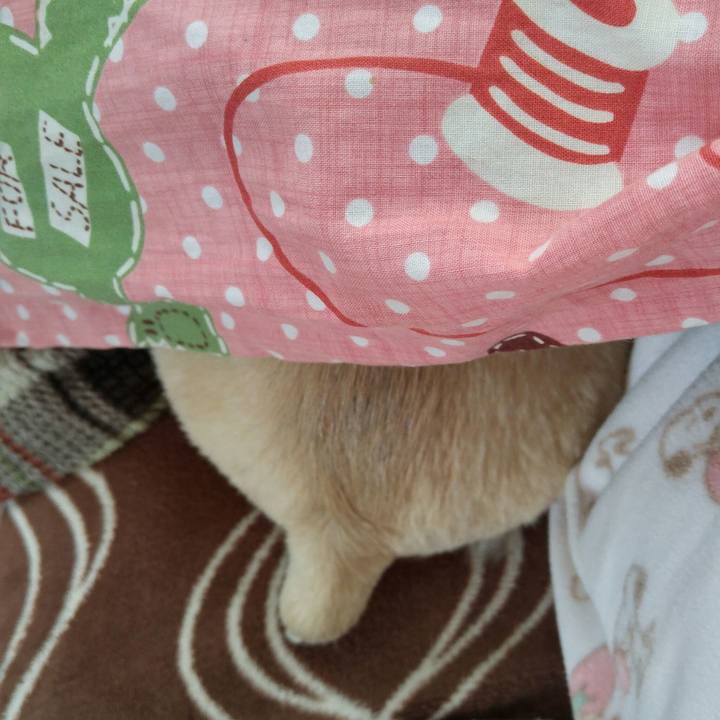 9b517997 e5a1 41c8 a0bf 7027e11a7d6d