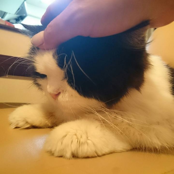 9b51a8c1 fdf4 4827 a73d 0fce3a02abc2