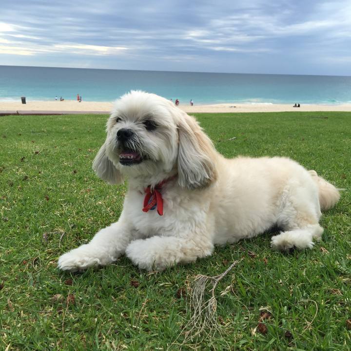 9b53404a 449d 4b8c b3df 38195d1a104a