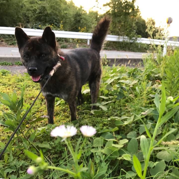 9b539c1b 71ce 42e5 92f1 c09e8aba94a4