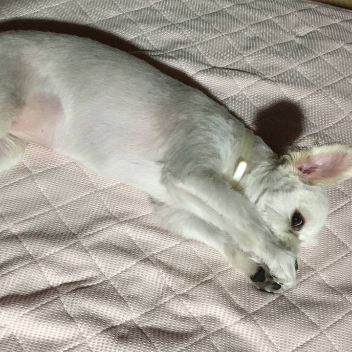 9b547342 32e5 489e 8920 482308ac7c95