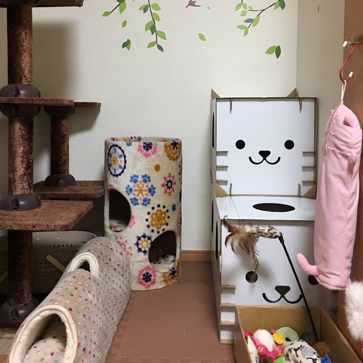 9b554204 cb0b 4502 ac45 3d6a595d7111