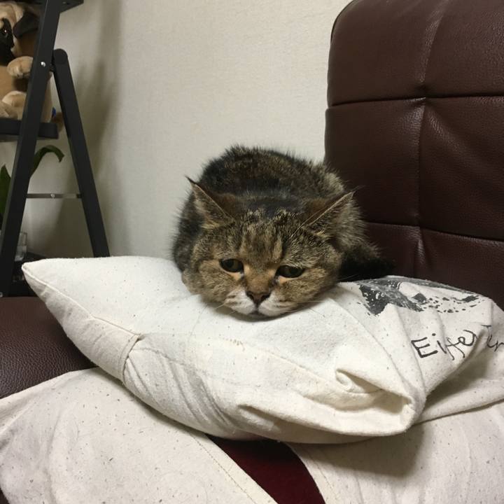 9b559cd9 643c 405b 8528 f3be0e041e0b