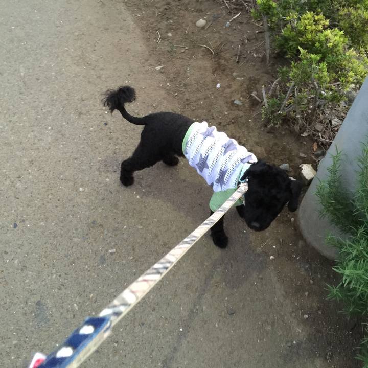 9b5611a7 7517 4f59 9836 444a79965684