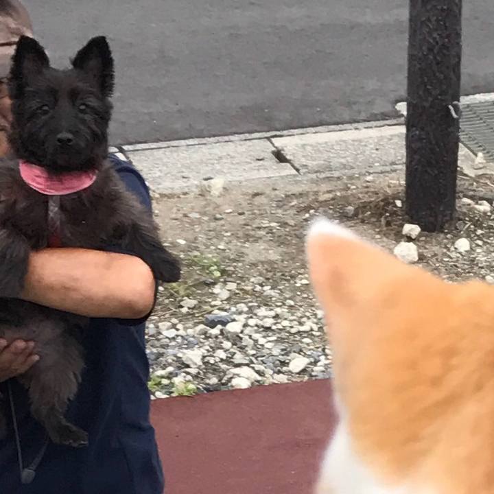 9b56c0a2 0b3e 4b46 b6b7 0edf218e253e