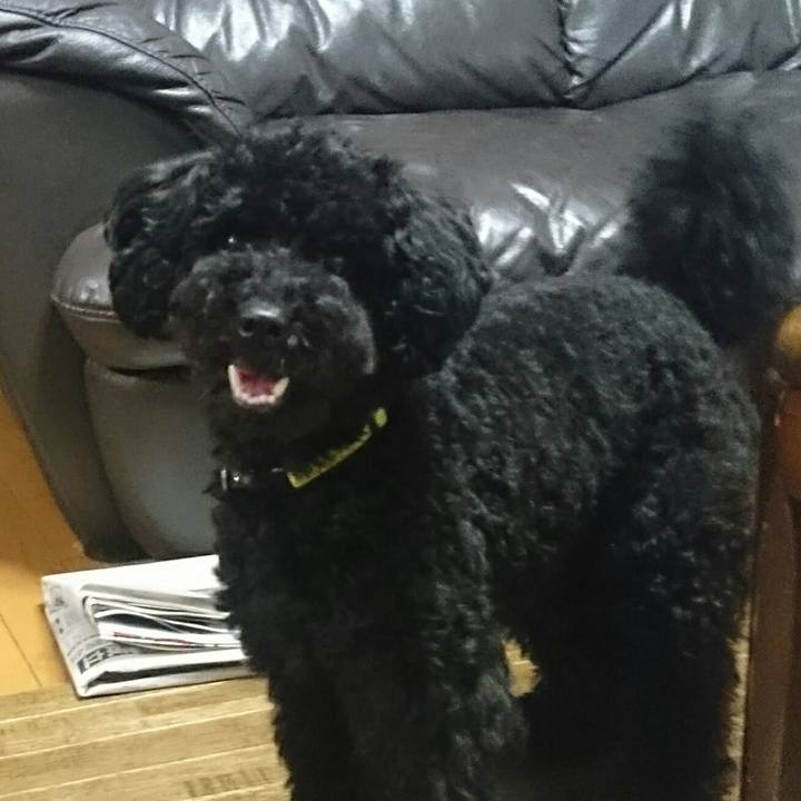 9b56d7e2 761b 4aea 8755 3651a84a53cd