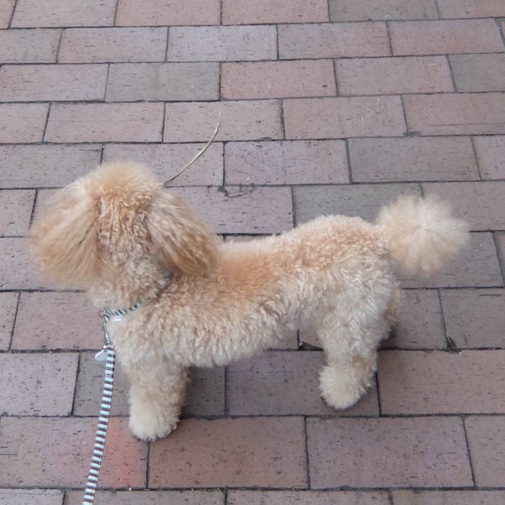 9b56e865 39df 487f a365 996b64d2ed37