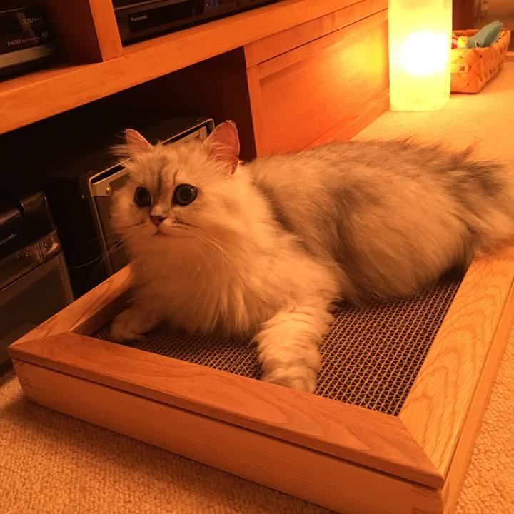 9b578c7d e9f2 4872 b513 e7b67cb5de38