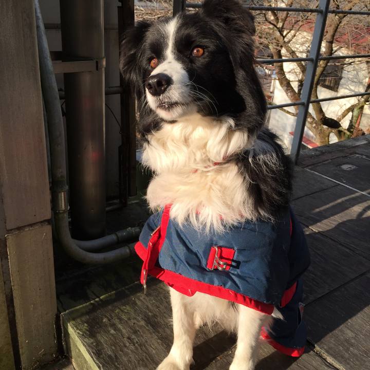 9b57b2f5 6f61 4f93 8939 03a7763c40e4