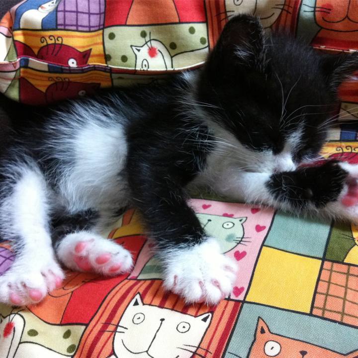 9b58043d 582a 448f ba7a 60af8534552f