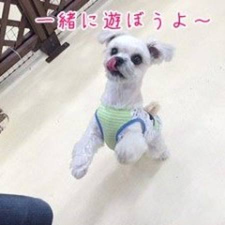 9b58621c 7dbe 4323 85ab 0e46ea73a9b7