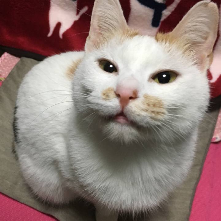 9b59b5bc 03ae 46fa 9277 14e1eb6ed4f8