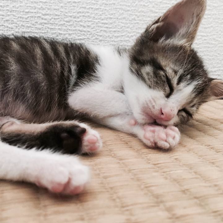 9b59ff70 f8ed 46cc 9ca6 61deffe4005c