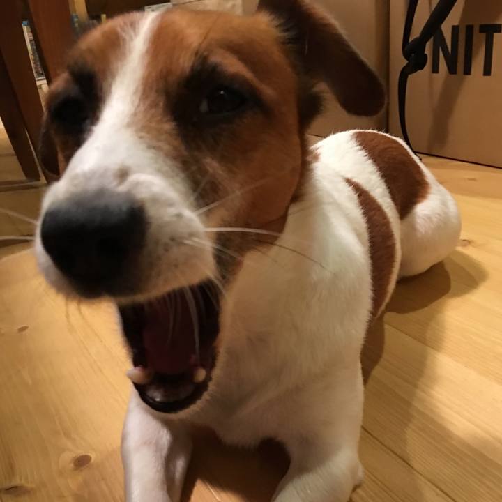 9b5a2113 f1ba 4248 9f3d e9302c44d799