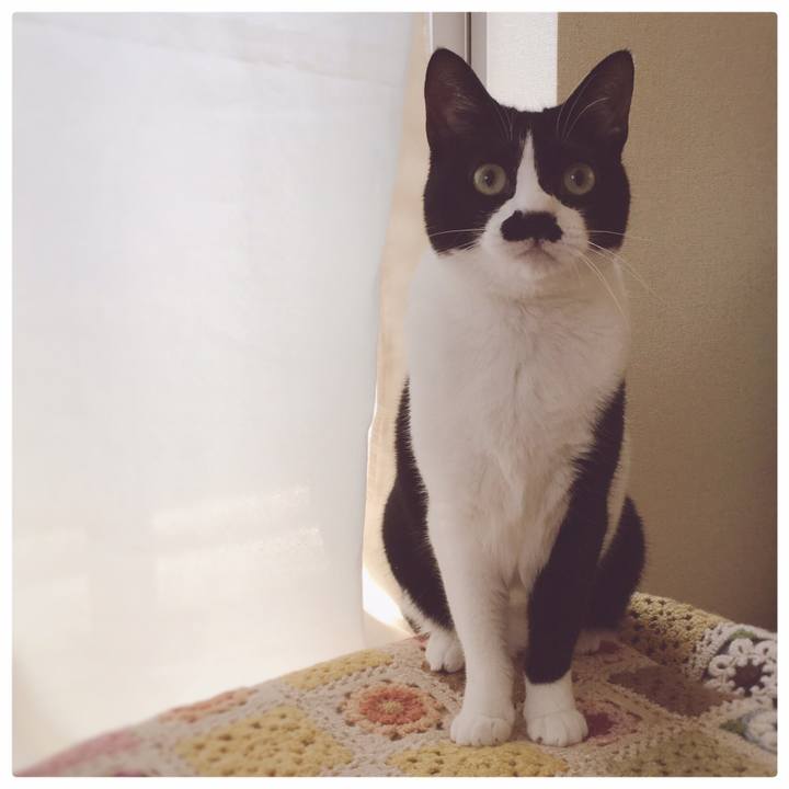 9b5a3dbc b17d 40fa 9c9f f8c6285cb929