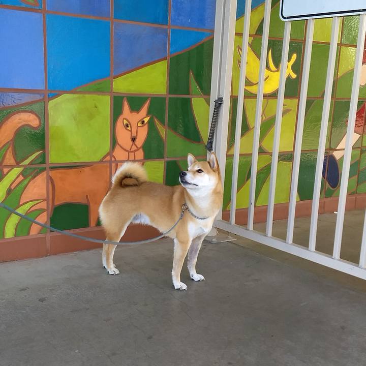 9b5b1117 3d2e 49d4 9f02 8b04990c2562