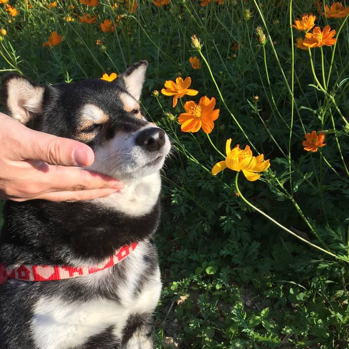 9b5b422d e0e8 4769 9b02 2581e16709d4