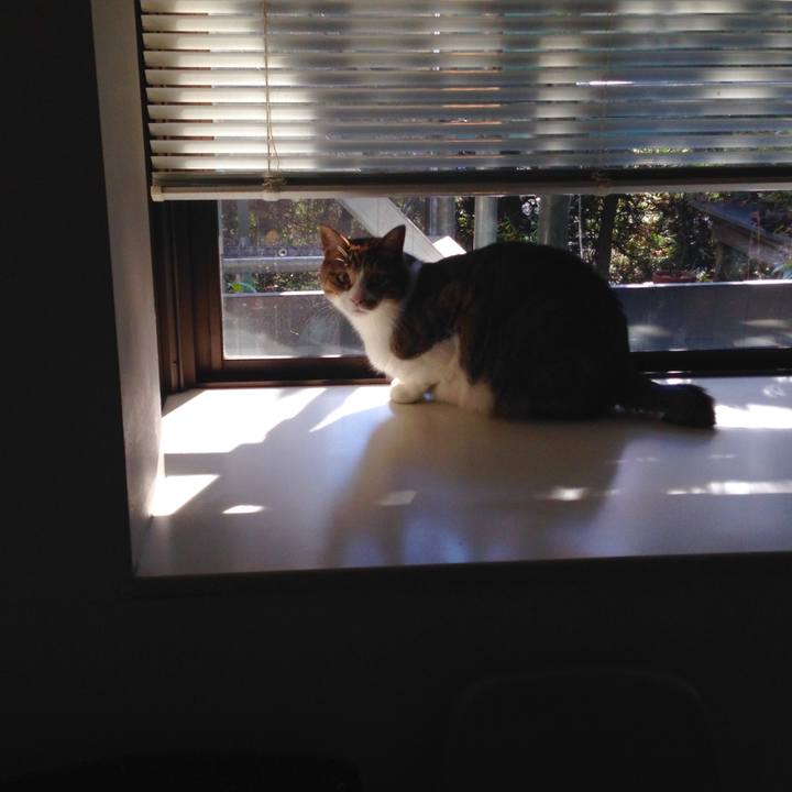 9b5c7c1f b4bd 407f 9f53 675fe2ec7c13