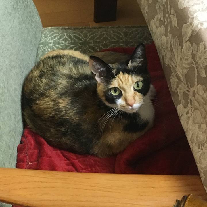 9b5ce08f edb4 435b b4db a05d409100cd