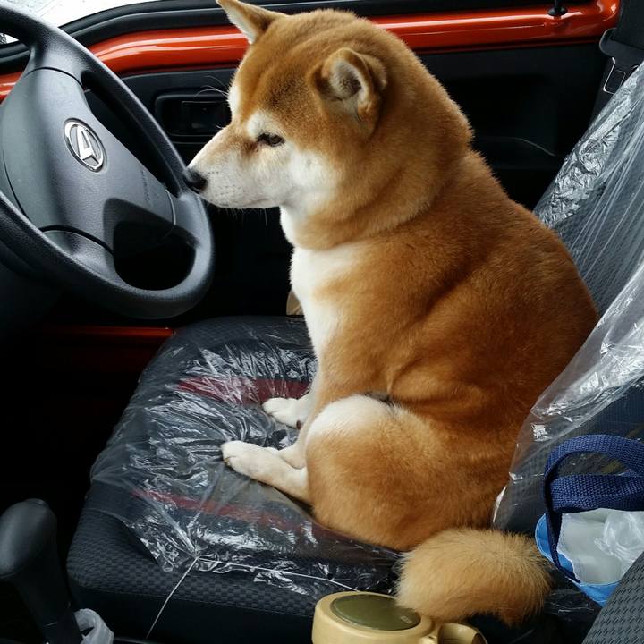 9b5d95c4 d4f5 4956 98c8 e317a96be17b