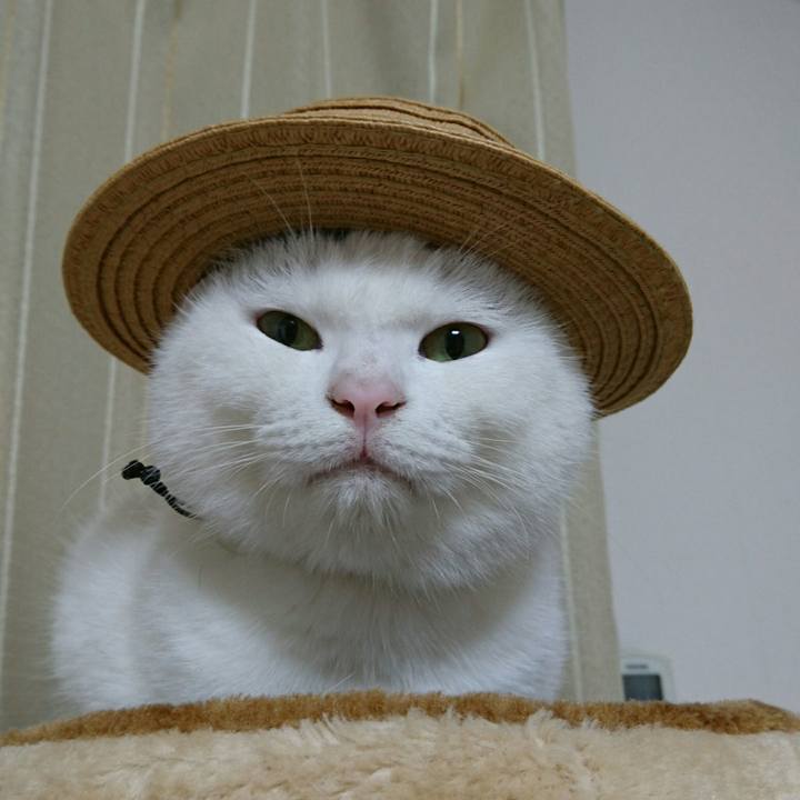 9b5d9c7d 384c 45b6 bed6 88efb19d5ab1