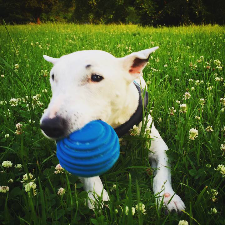 9b5db7e5 3fbc 406b b1d8 c06a28f74c29