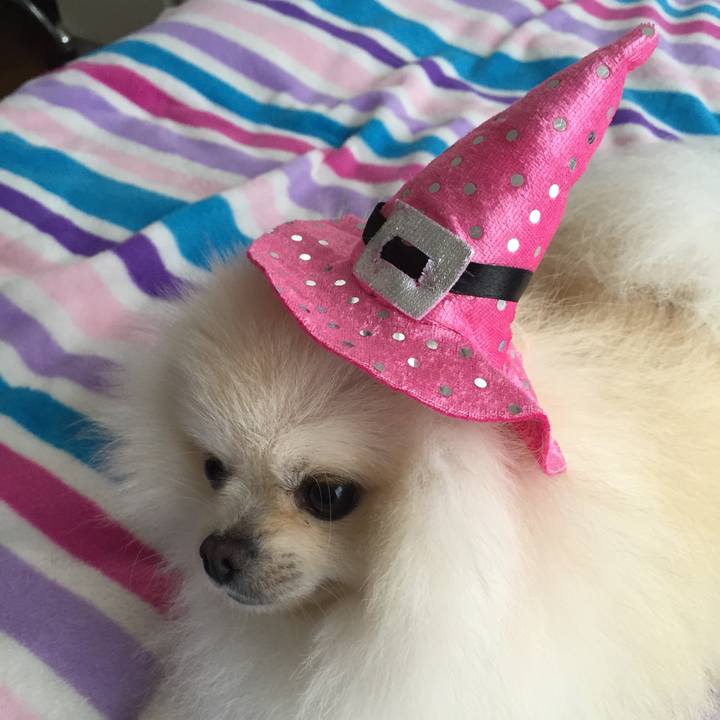 9b5dbdee d29b 4285 bc92 201474e3dc28