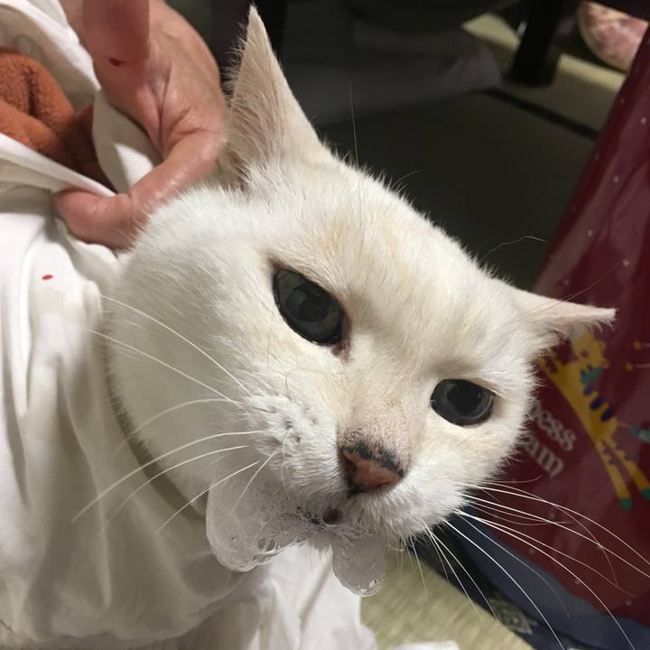 9b5dbf15 8f86 4dbe 9d1e 1e72f72c7326