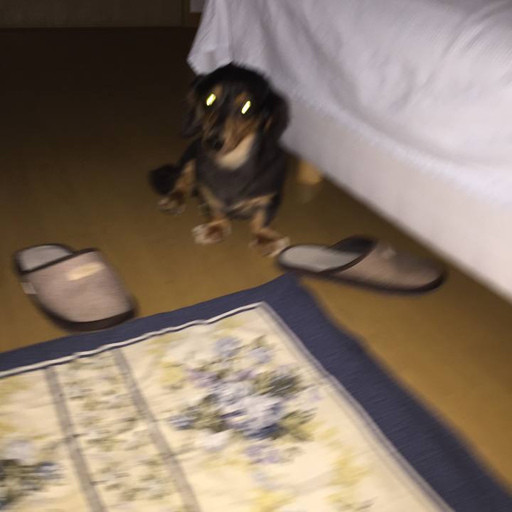 9b5ddc8e 9e18 4513 994a d34c1ad41a35