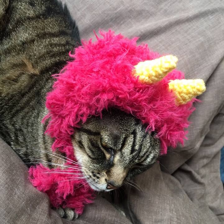 9b5e5d08 7c6c 4f3b 8fa1 6545286c54b9