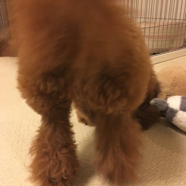 9b5fd2bd bd82 4a73 a5c6 9d174b096447