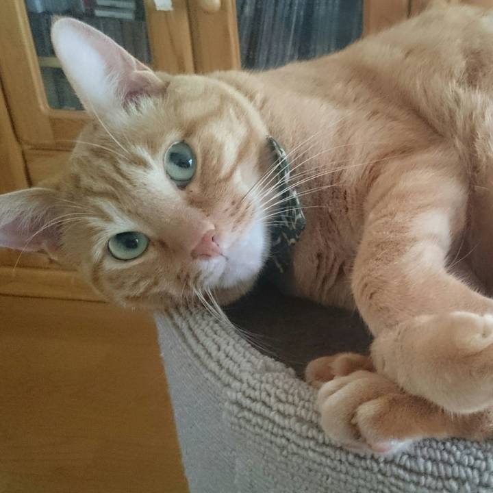 9b601b6e e009 4bfc 9e36 effefe9e8e9f